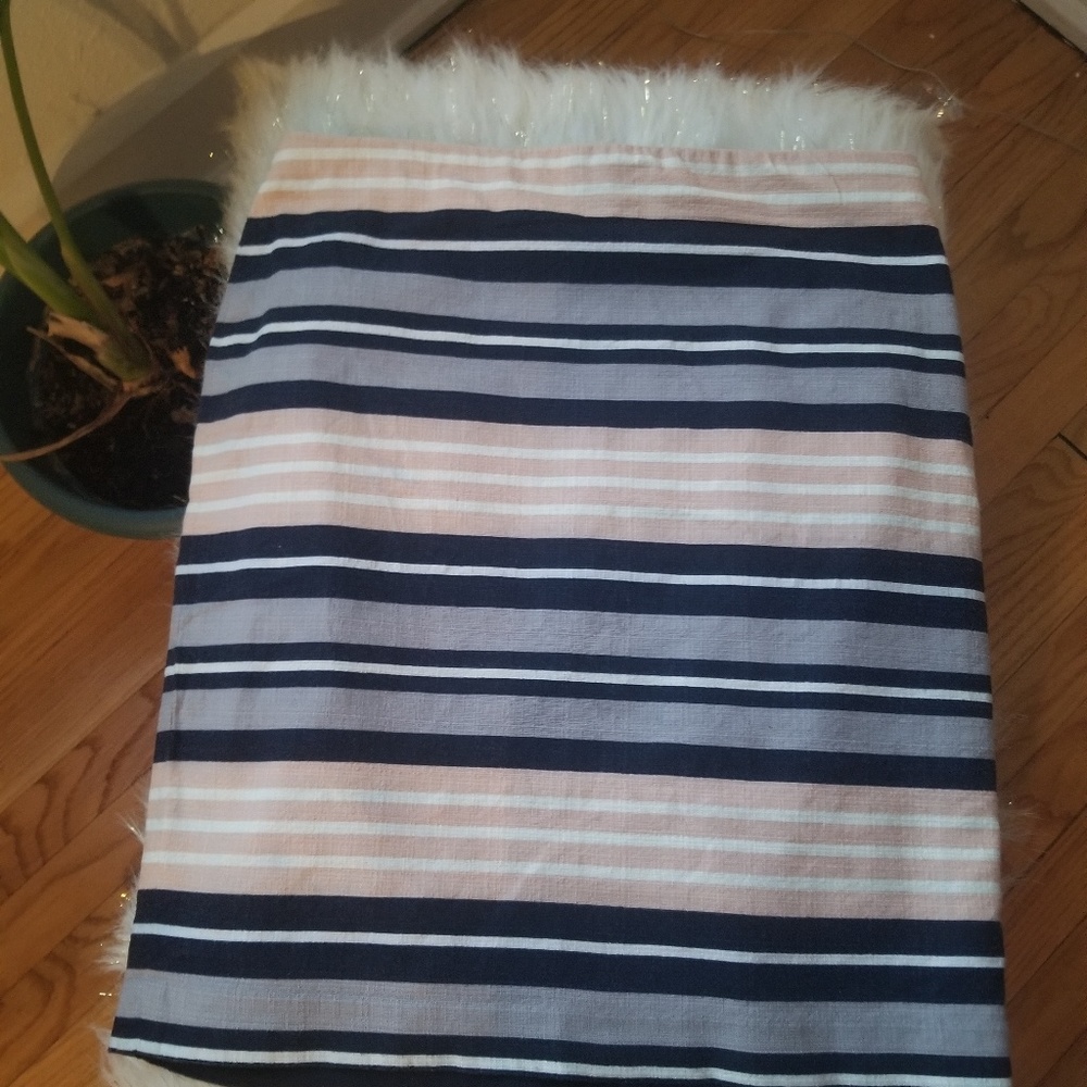 Ann Taylor Skirt